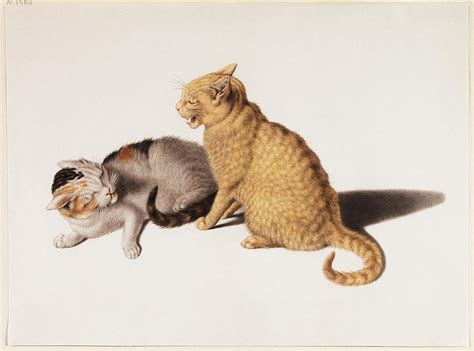 pet animal illustration art   original artworks  rawpixel
