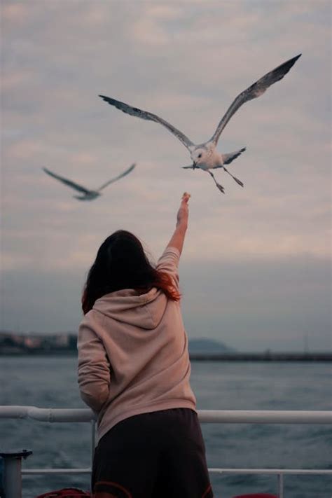 Woman Feeding a Bird · Free Stock Photo