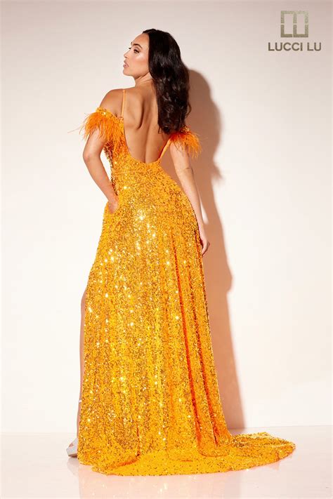 lu lu prom dresses 9