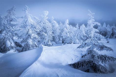 Ryo Uehara (@r_y_o_0928) / Twitter