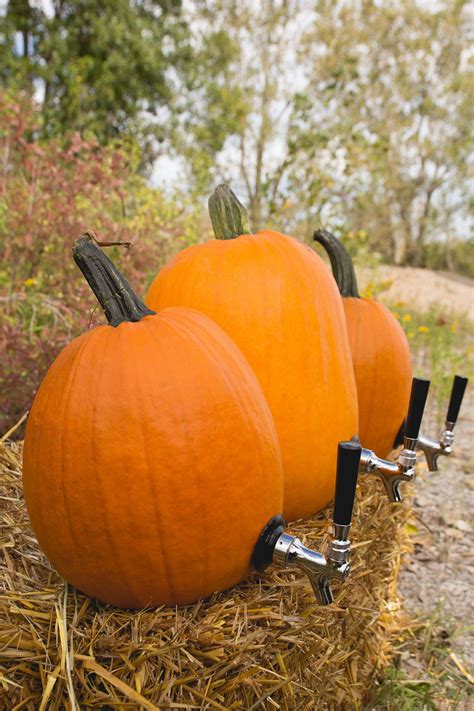 This tap kit has everything you need to turn ANY ordinary pumpkin into