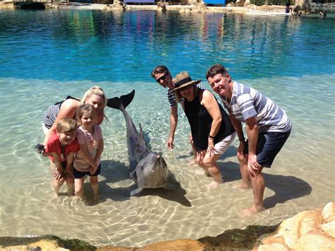 Seaworld Resort - our family review - Paging Fun Mums