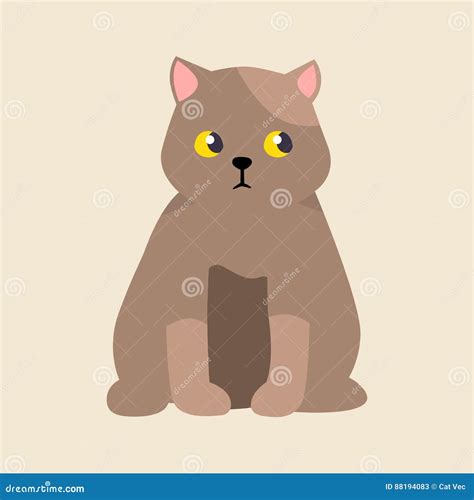 Cat Breed British Shorthair Cute Pet Portrait Fluffy Young Adorable
