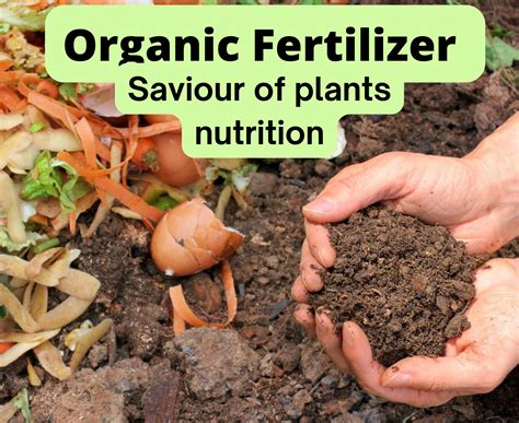 Which type of organic fertilizer is used IM the most?