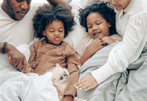 Fostering A Forever Home: 5 Steps To Become A Dog Parent Hero