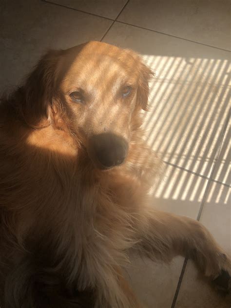 Janexy on Twitter: "He’s probably so tired of me always sneaking up on