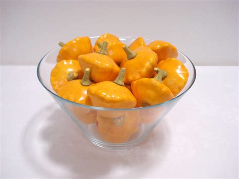 single squash hostwin