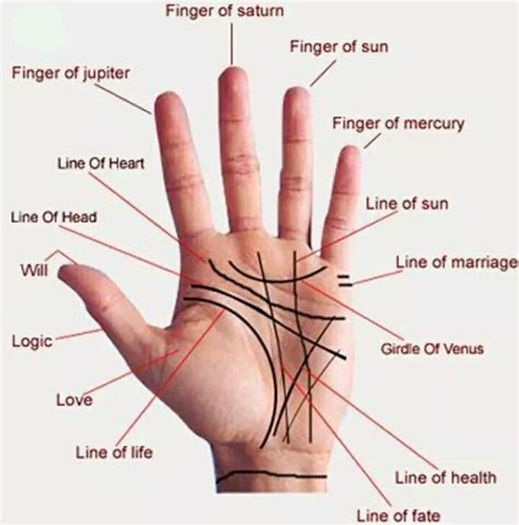 palm reading palm reading charts foot chart palmistry hand