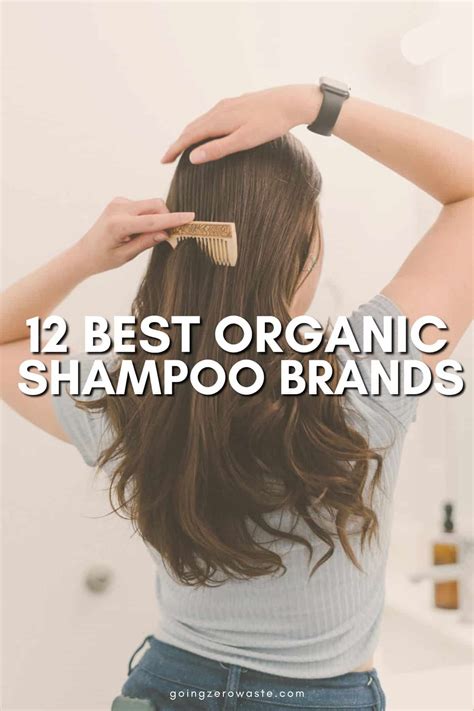 organic shampoo options   natural hair care routine
