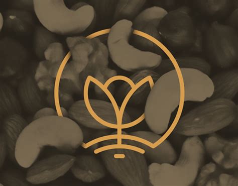 Rebrand Divina Terra :: Behance