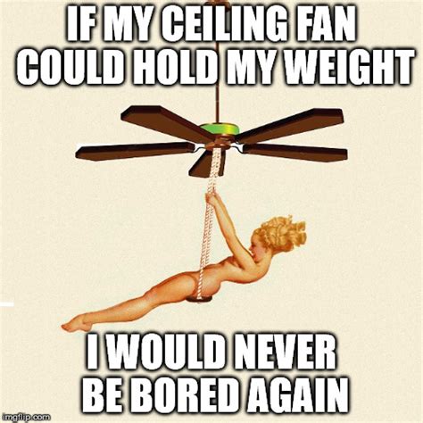 ceiling fan Memes & GIFs - Imgflip