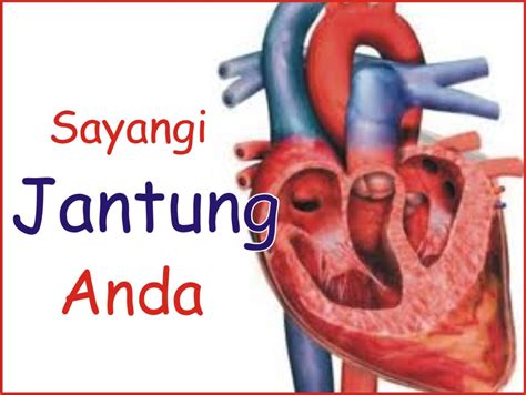 abdunwijaya tanda tanda tips   mengatasi serangan jantung
