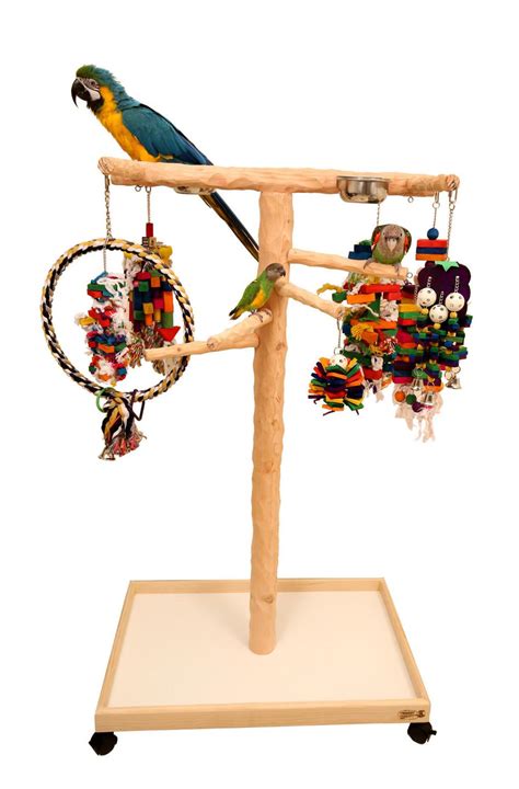 bird platform perch australia  rocio wilds blog