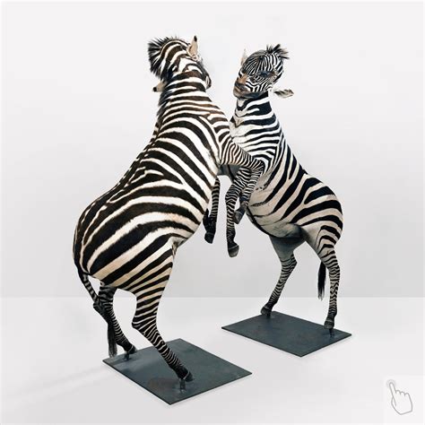 Kate Clark - Artist Page — ANIMA MUNDI