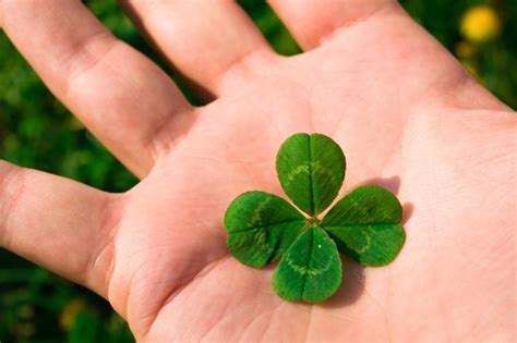 Proven Ways to Change Your Luck | The Healthy