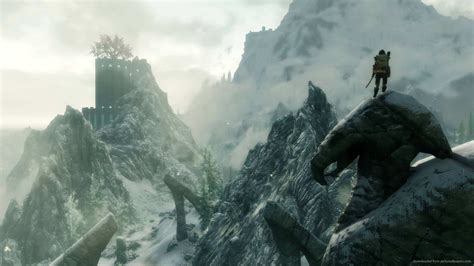 skyrim net worth