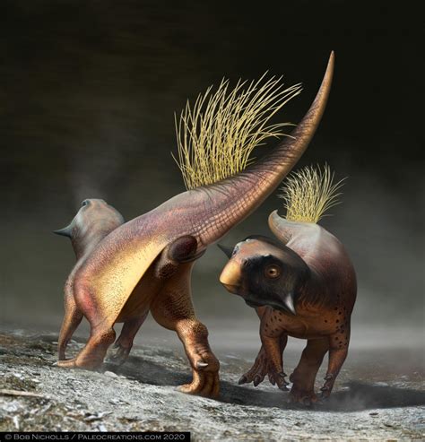 ‘Cloaca polivalente’ de dinossauro é reconstruída pela primeira vez ...