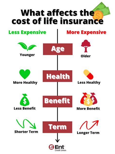 How Does Life Insurance Work? The Basics of Life Insurance Explained