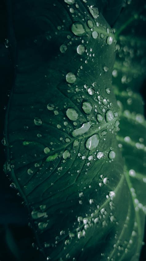 April Rain Photos, Download The BEST Free April Rain Stock Photos & HD