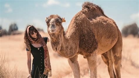 Safari Sahara - Luxury Sahara Desert Tours in Morocco