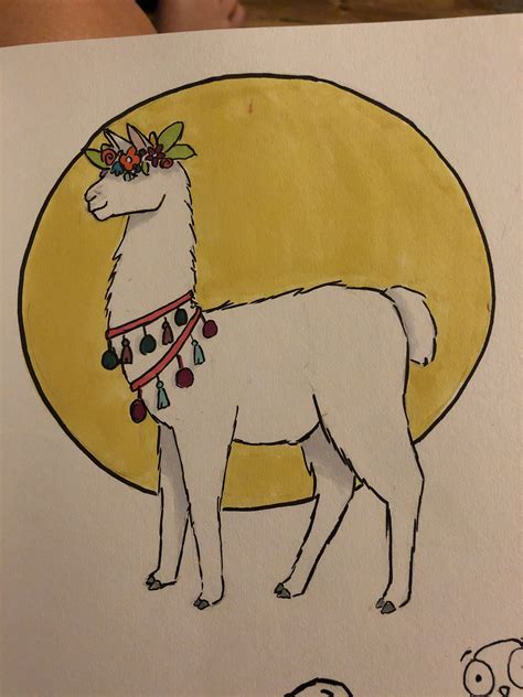 llama drawing