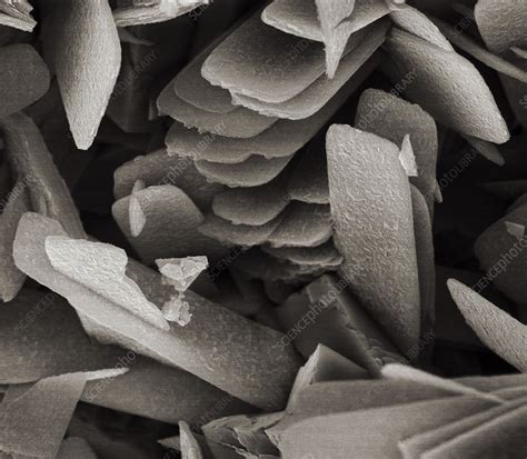 selenium crystals sem stock image  science photo library