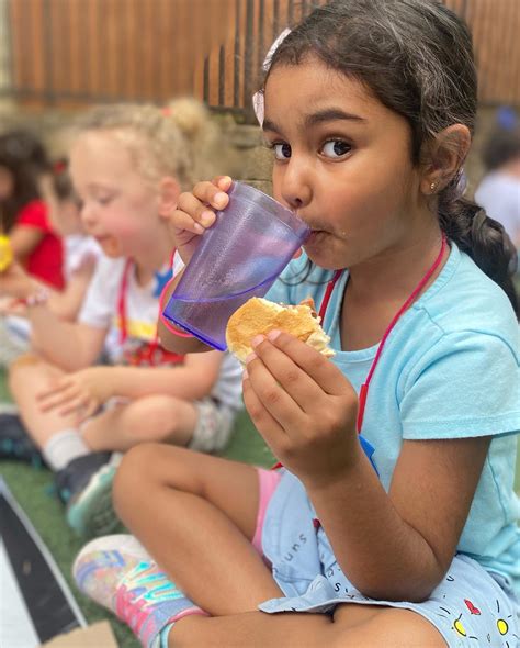 The Pineapple School