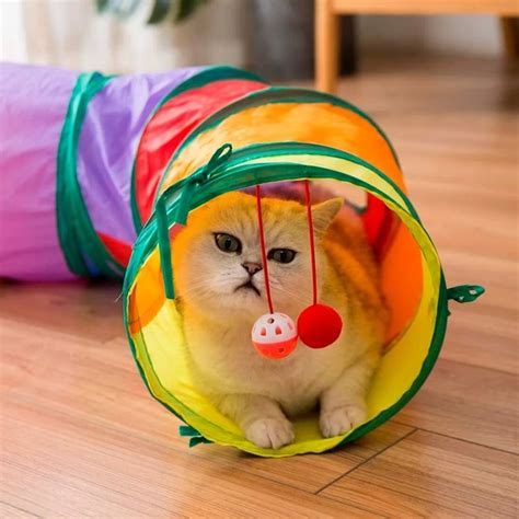 Игры для кошек и собак — это не только веселое, но абсолютно ...