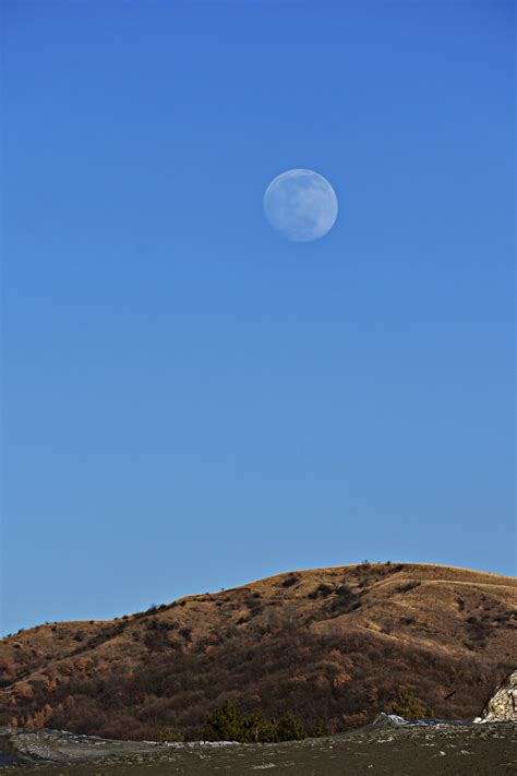 Download Full Moon In Blue Sky Wallpaper | Wallpapers.com