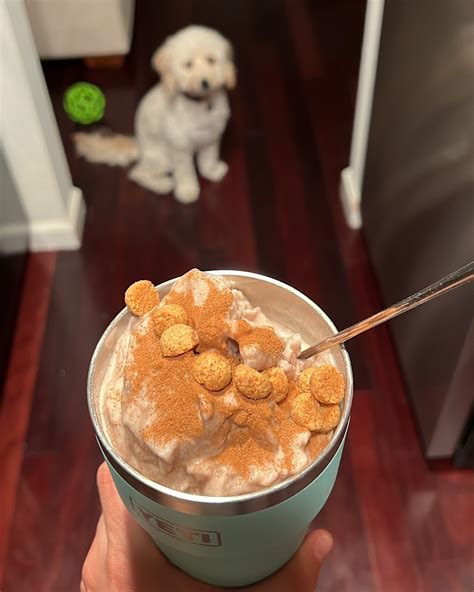 Protein Milkshake