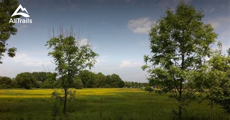 trails  hikes  taucha alltrails