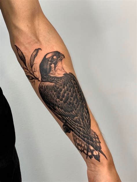 freehanded peregrine falcon   nicola asura  der grimm  berlin
