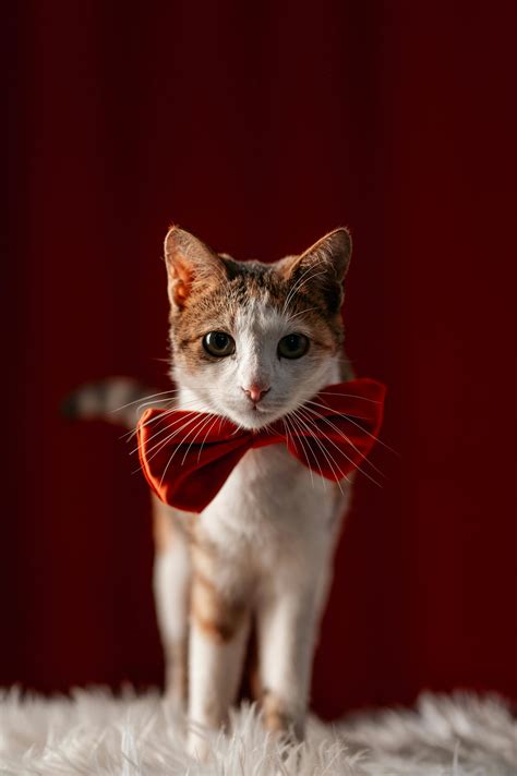 Naked+White+Girls Photos, Download The BEST Free Naked+White+Girls