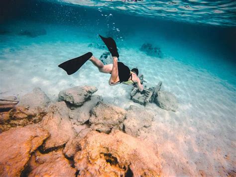 Where to Go Snorkeling Near Shell Island, FL