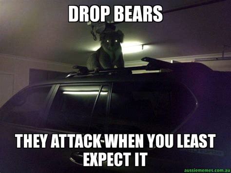 Australian Icons:The Ferocious Australian Drop Bear | timalderman