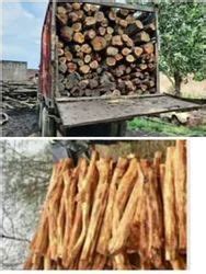 manufacturer  herbal extracts acacia catechu wood  morgan catechu