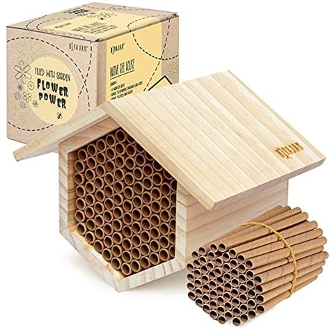 The Best Mason Bee Houses | Chook City