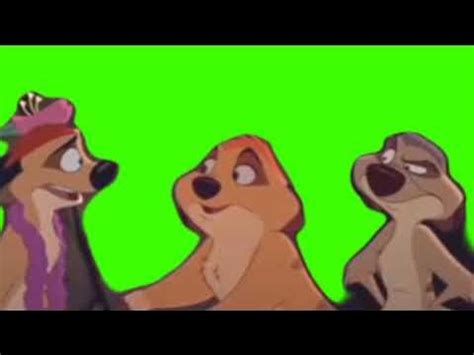 Тимон, Мама Тимона и Дядя Макс футаж - YouTube