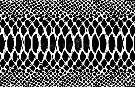 Pattern Snake Texture Vector - Snake Drawing