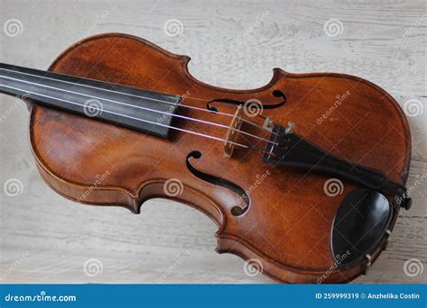 violin  orchestral  solo professional bowed musical instrument