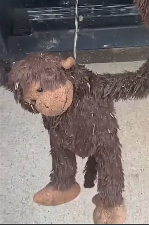 Bad Govt in Arkansas on Twitter: "Monkey hanging by the neck on the