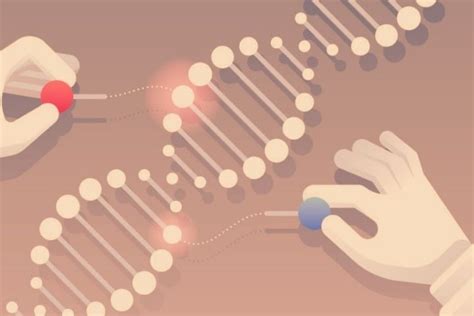 Learn About The Genome Editing Or Gene Editing Technology