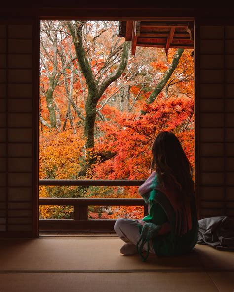 Kyoto in Autumn | Best Spots for Catching Fall Foliage