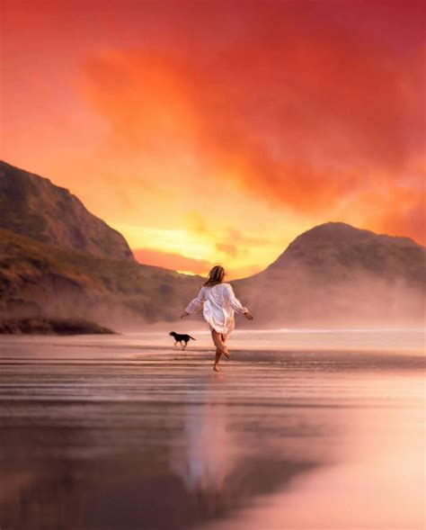 dog animation       stock video footage