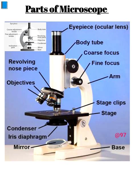 97 - Parts of Microscope 🏓 #fbpost2025シ #science #question #botany #