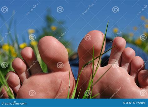 el pie toca  la punta del pie la naturaleza del sol imagen de