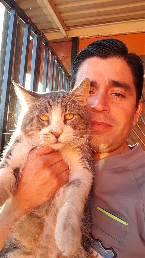 Big boy named ''Gatote" : r/cat