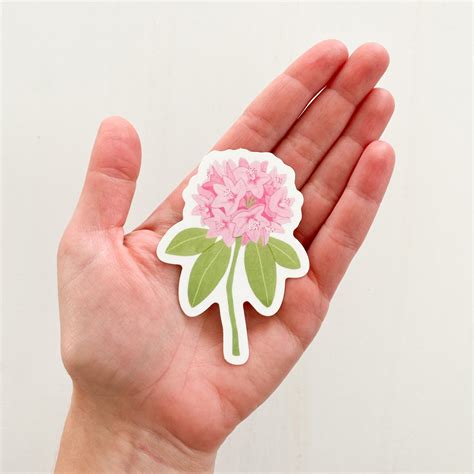 washington state flower 3