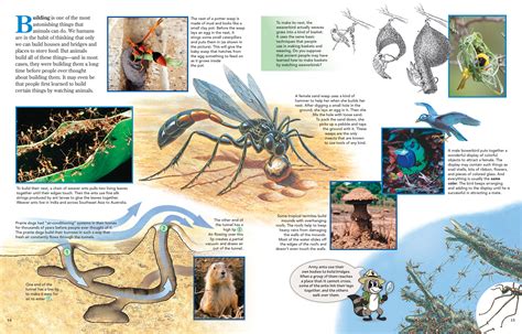 weird and wild animal build kit 12