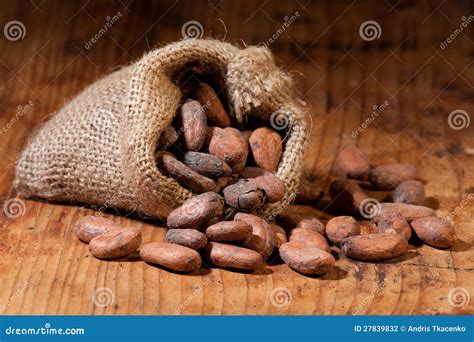 cocoa  bag stock photo image  brown sack closeup
